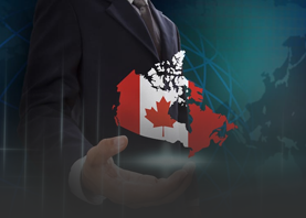 Immigration Litigation and Enforcement