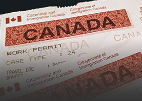 Individual & Business Immigration